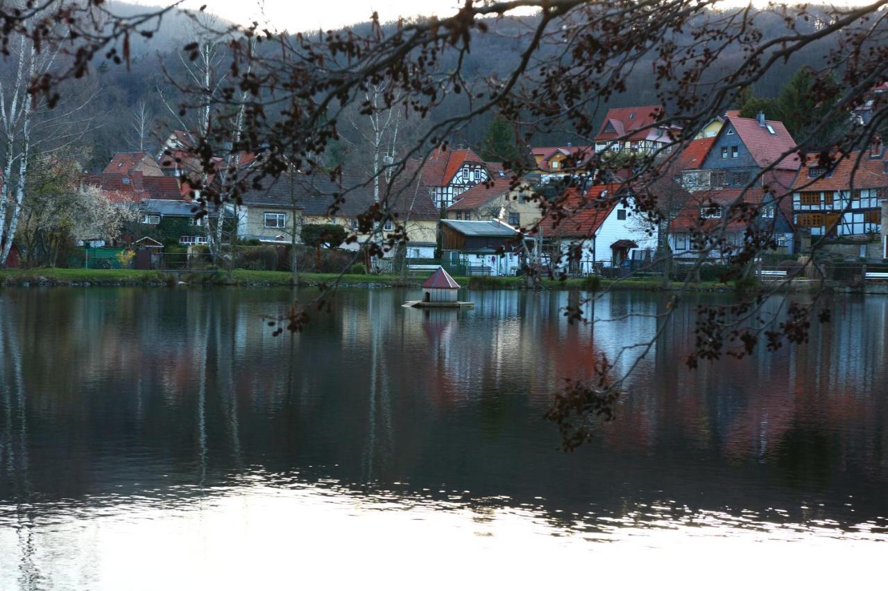 Ferienwohnung Relax Ilsenburg Bagian luar foto